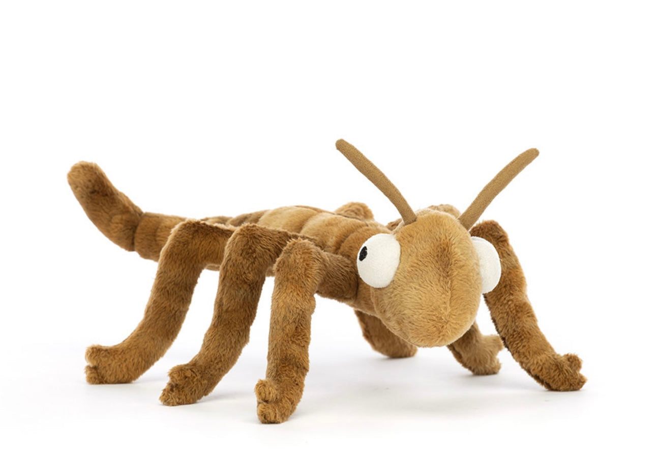 Stanley stick insect
