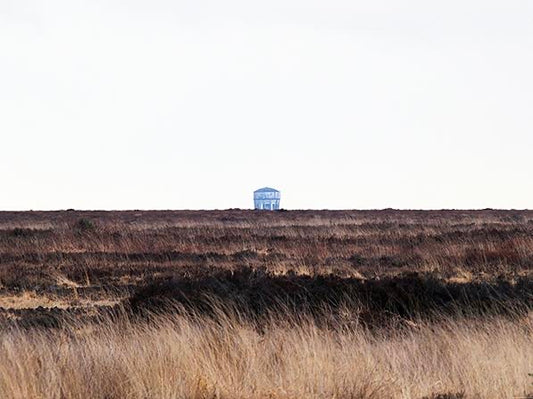 Bog Tower by Mark Duffy