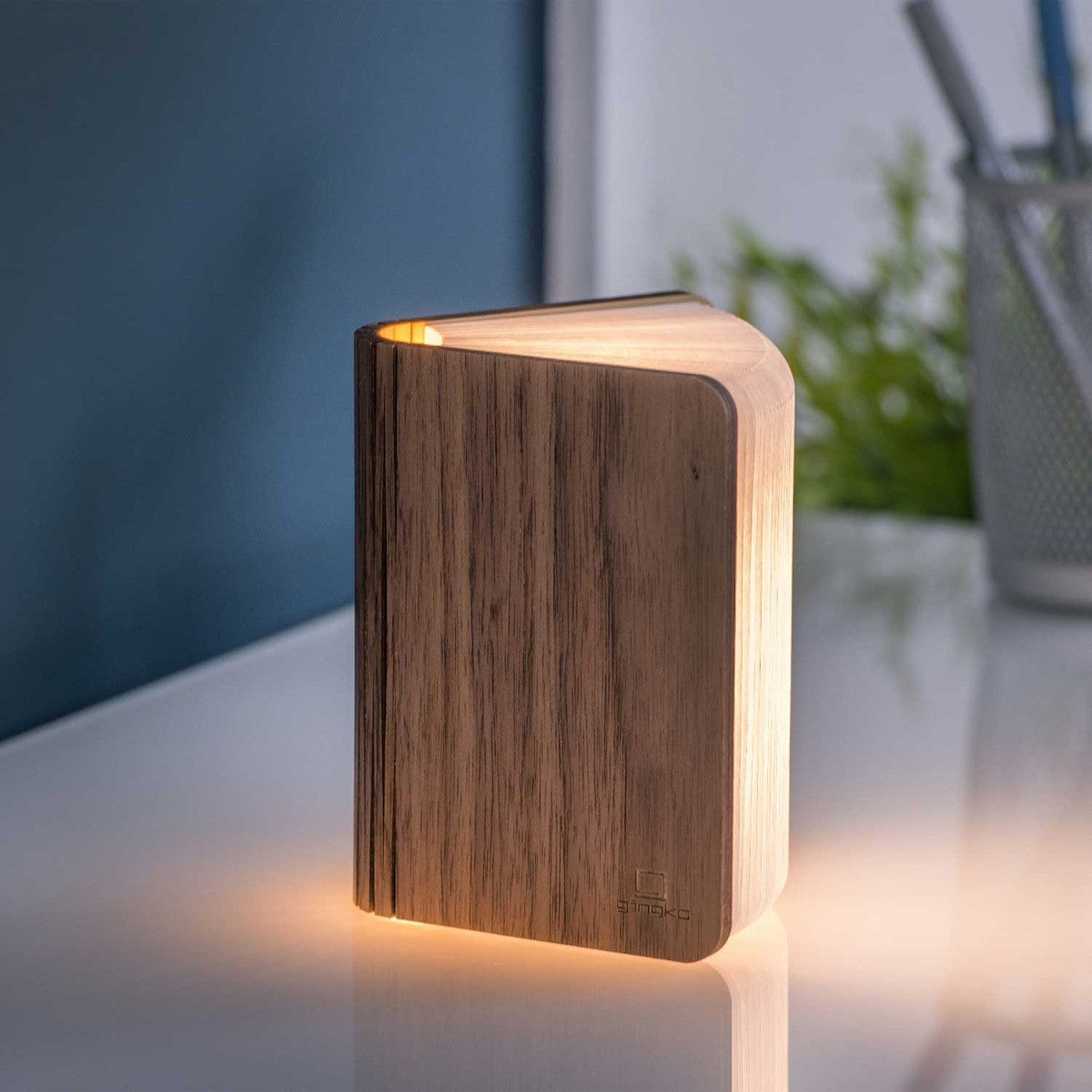 mini Book light walnut cover