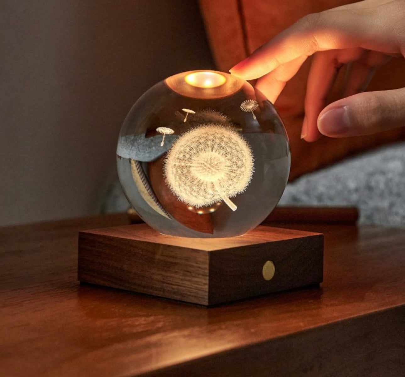 Dandelion light