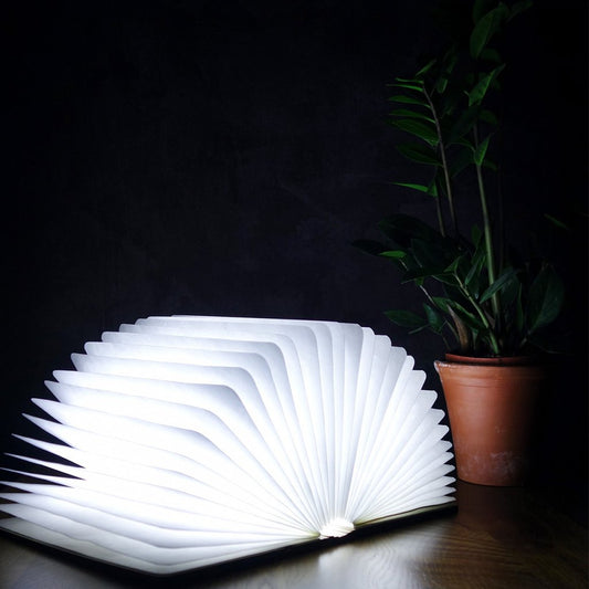 Large Rechargable book light
