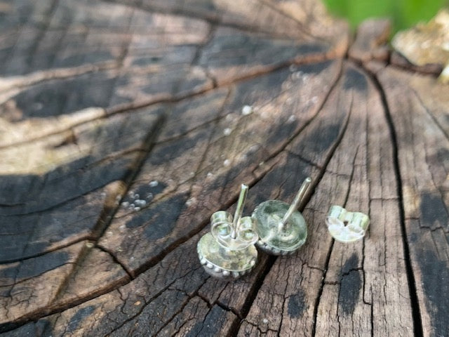 Silver Studs -Pearl