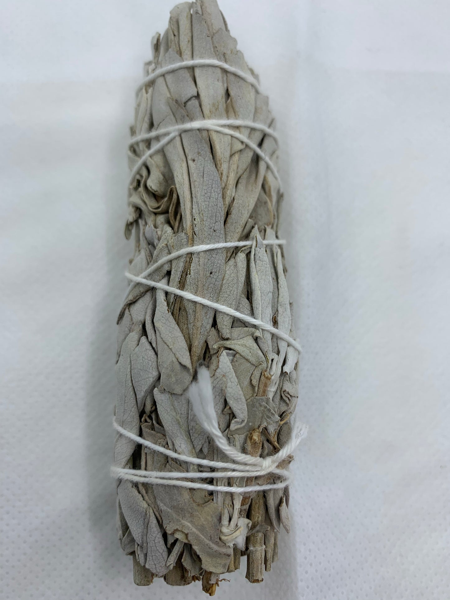 White Sage 10 cms