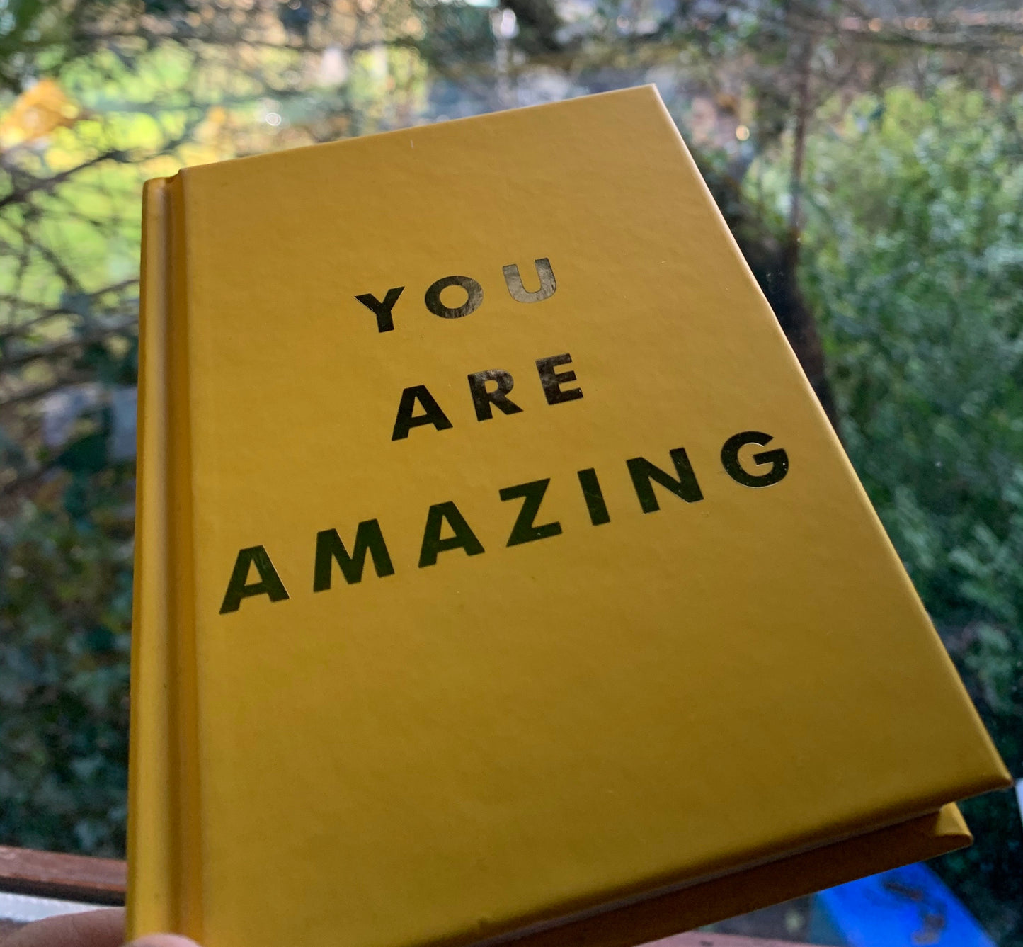 You Are Amazing