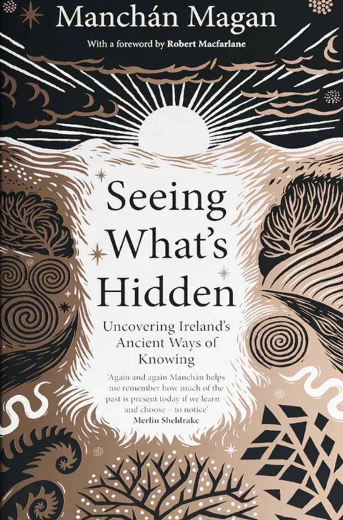 Seeing What’s Hidden by Manchán Magan