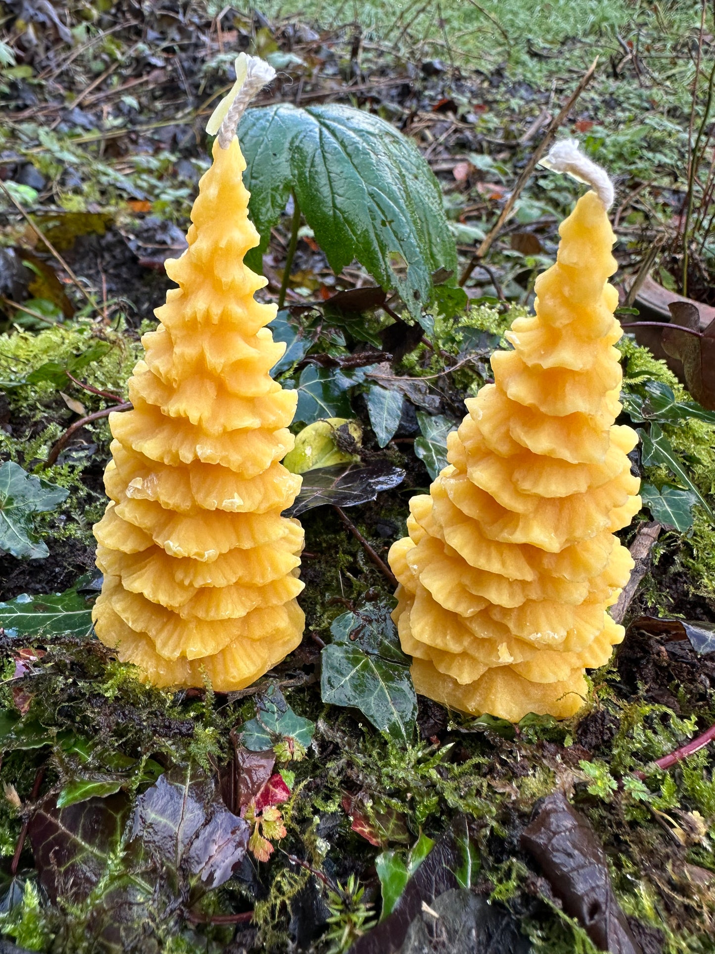 Set of 2 Christmas candles