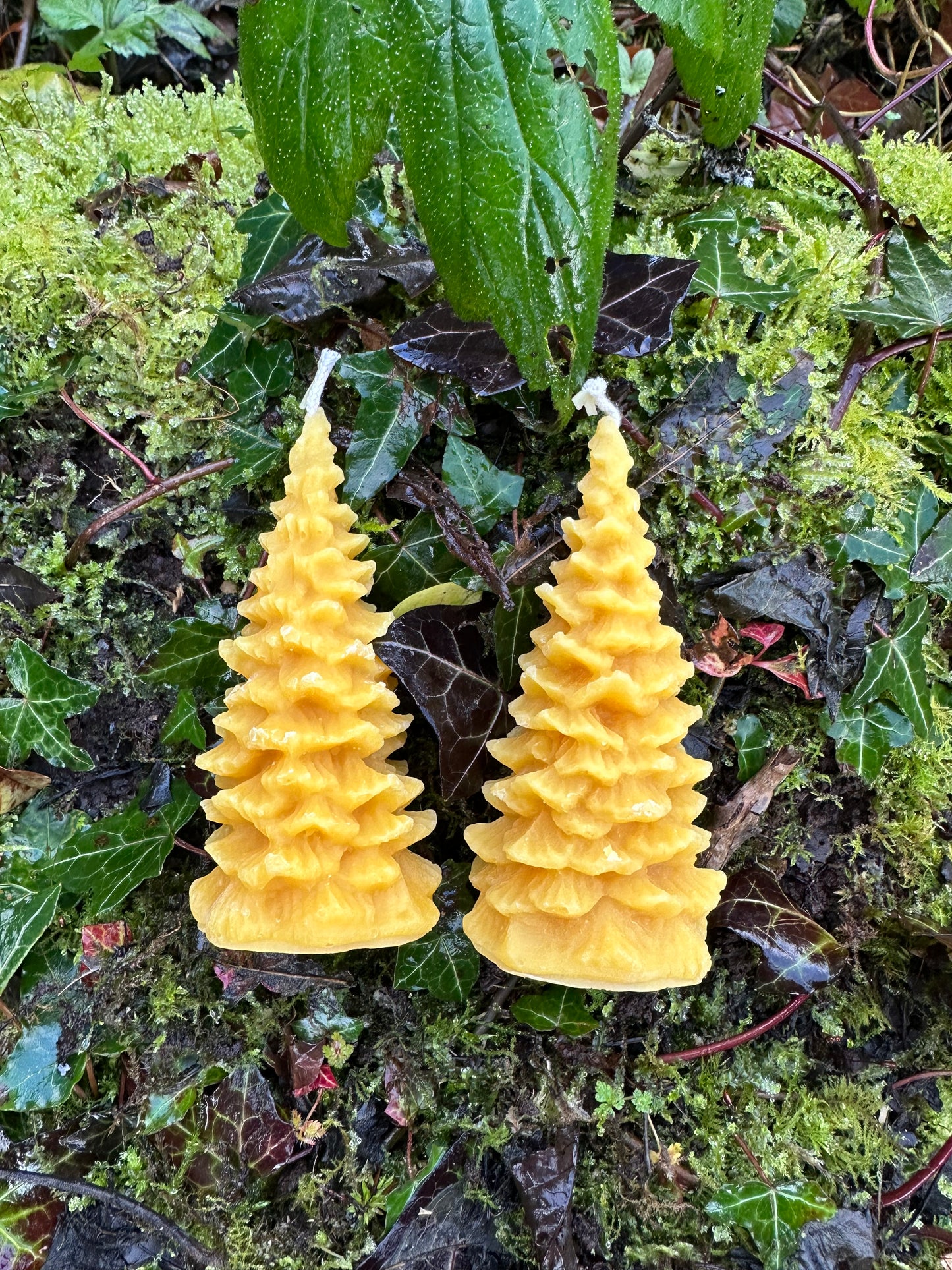 Set of 2 Christmas candles