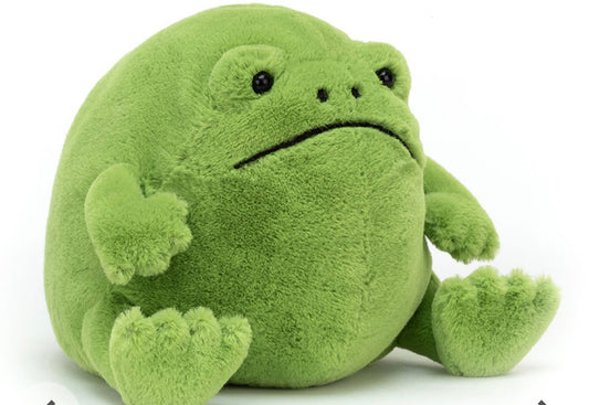 Ricky Rain Frog