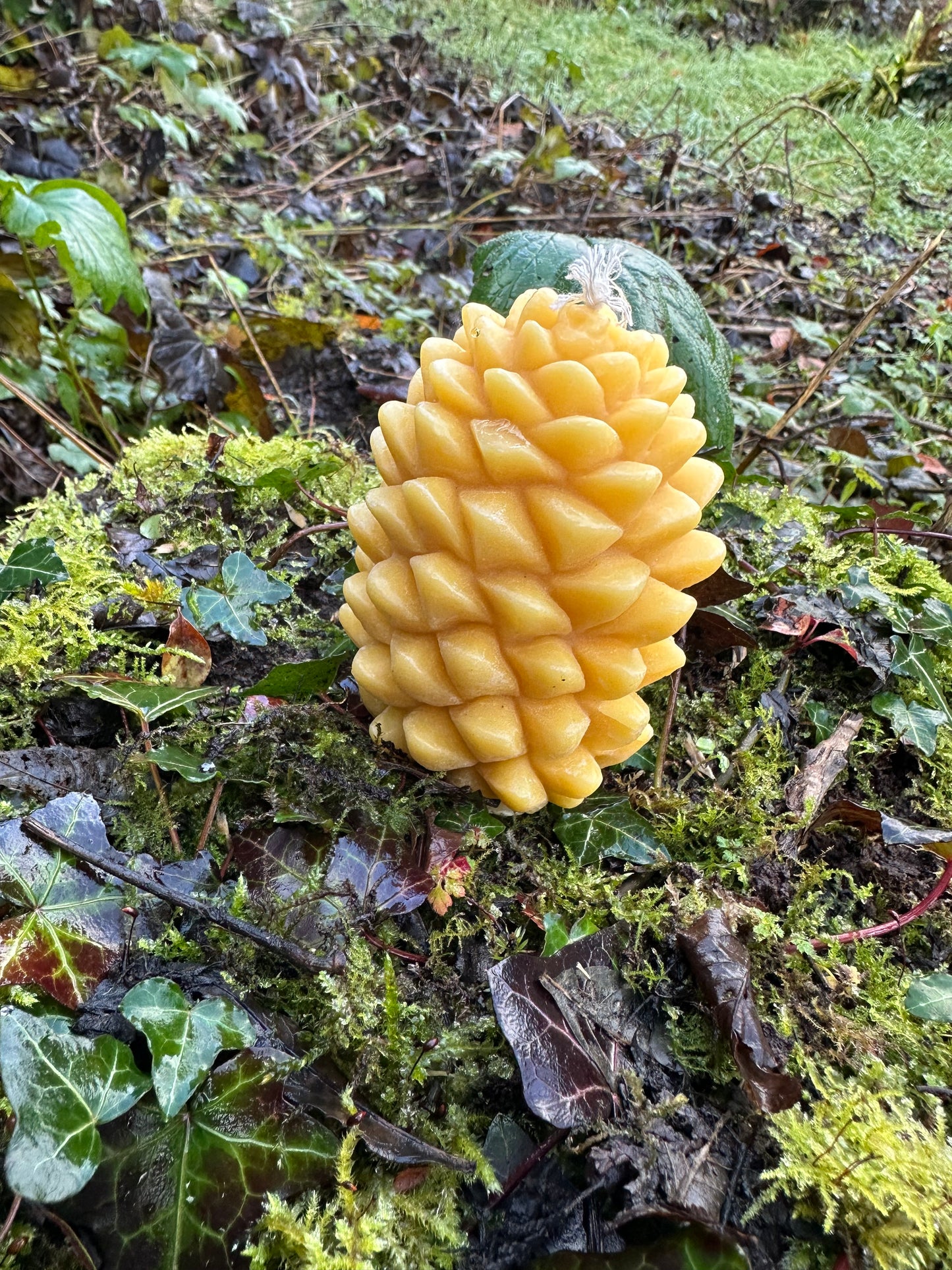 Pure beeswax  candle