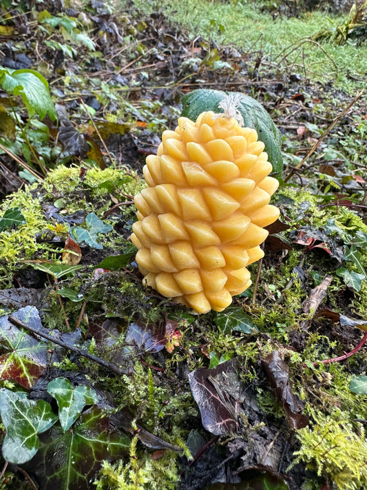 Pure beeswax  candle