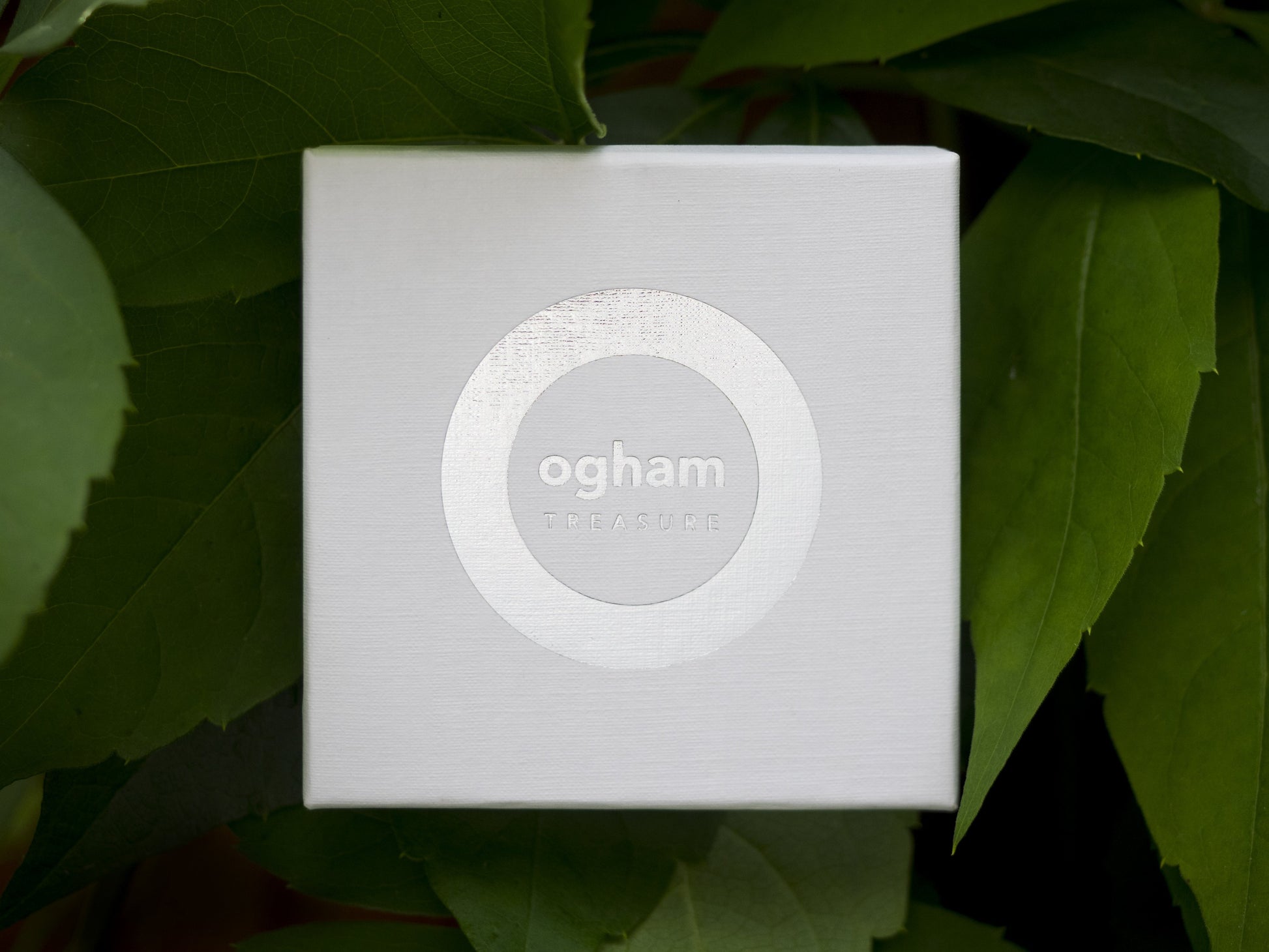 Ogham box