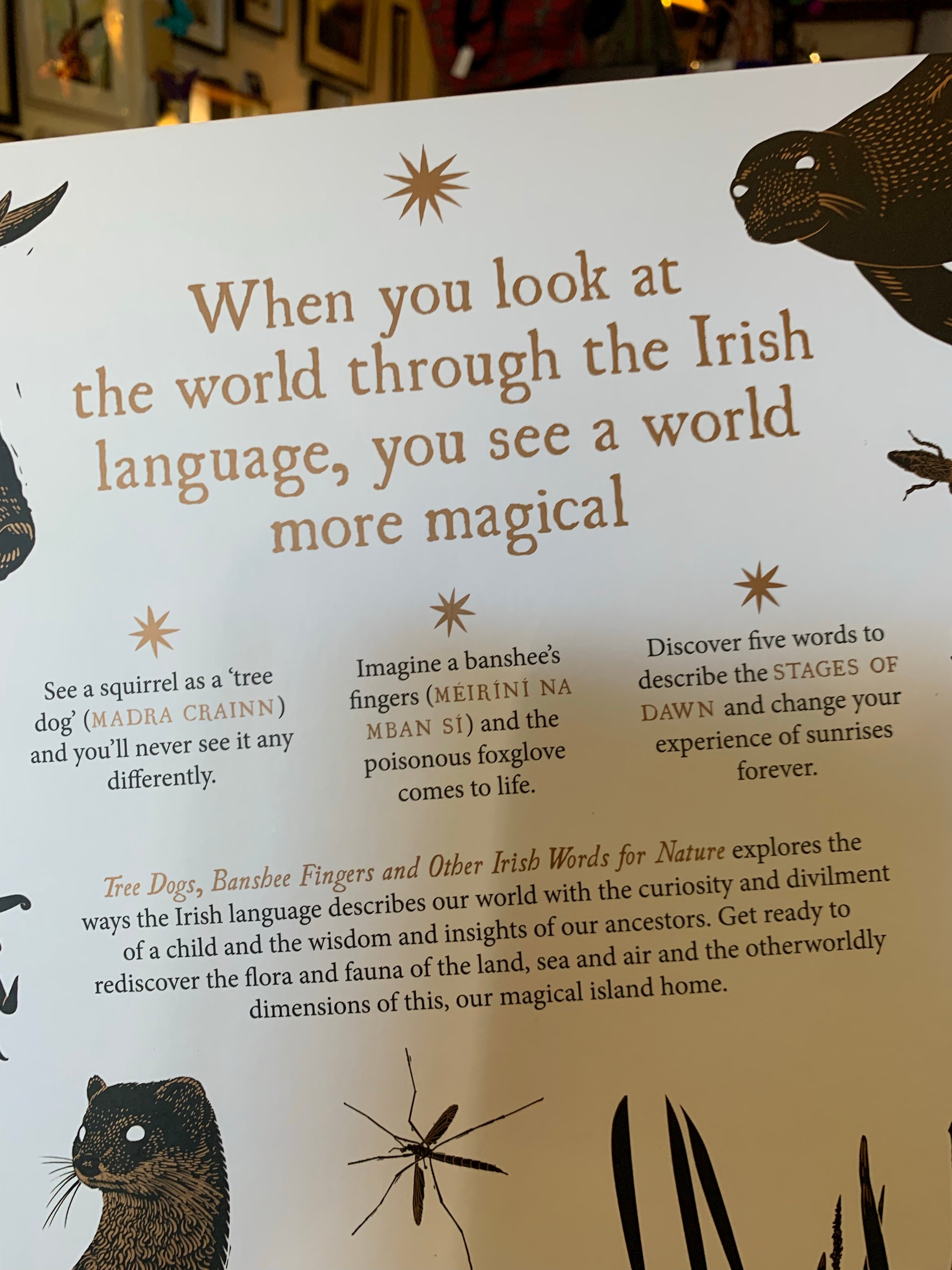 Tree dogs, Banshee Fingers and Other Irish Words of Nature
